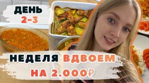 Неделя ВДВОЕМ на 2000₽. День 2-3. Эксперимент ВЫЖИВАНИЕ. Рыба под маринадом. Курица в молочном соусе