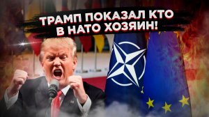 Игра в санкции: Как Европа, заигравшись против США, может остаться без американской «крыши»