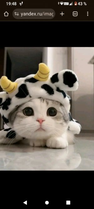 ☺️💗🩷♓🪷💝💞💕💖🩷🌸♓🌸🌷🌺💮🩷🩷🩷🩷🩷🩷💘💘💘💘💝💝💝💝💖💖💖💖💖💓💗💗💕💕💓💓💓💞💞💞💞💞👅👅👅