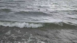 А.С. Пушкин Талисман  Читает Анатолий Алымов