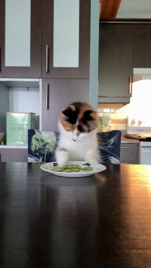 Огуречный вор