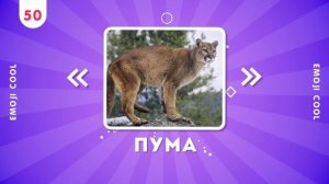 УГАДАЙ 100 ЖИВОТНЫХ 💯🐄🦥🐘🐅_ УГАДАЙ ЖИВОТНОЕ ЗА 3 СЕКУНДЫ _ EMOJI COOL 😎