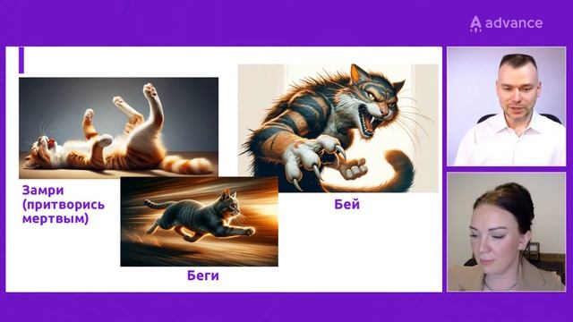 Бей, беги притворись мертвым (замри) три стратегии избегания стресса в обучении