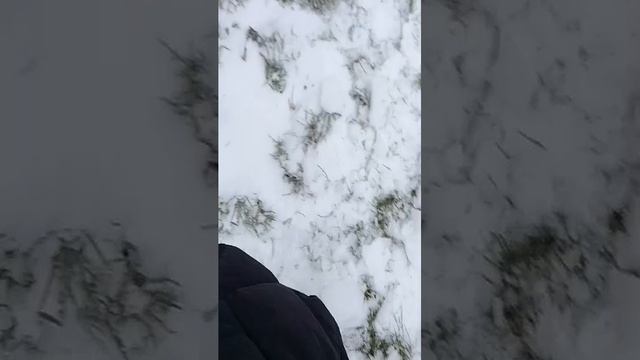 гуляю с подругой смотреть онлайн