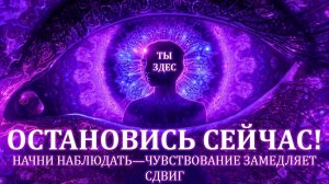 Когда ты наблюдаешь (а не чувствуешь), квантовый скачок происходит МГНОВЕННО! ✨