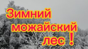Зимний лес вдоль дороги! Чем питаюсь на даче! 20-01-2026