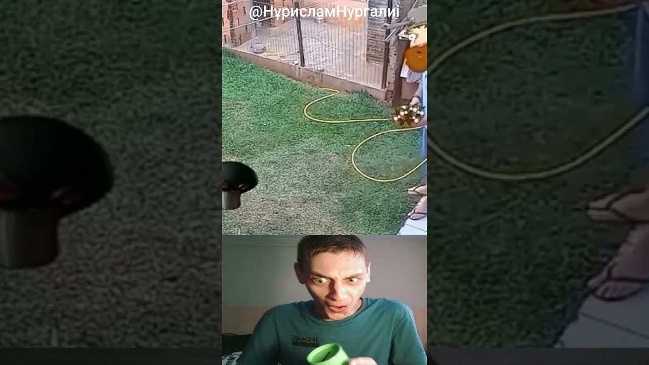 Растения против Зомби в Реальной Жизни смотреть онлайн