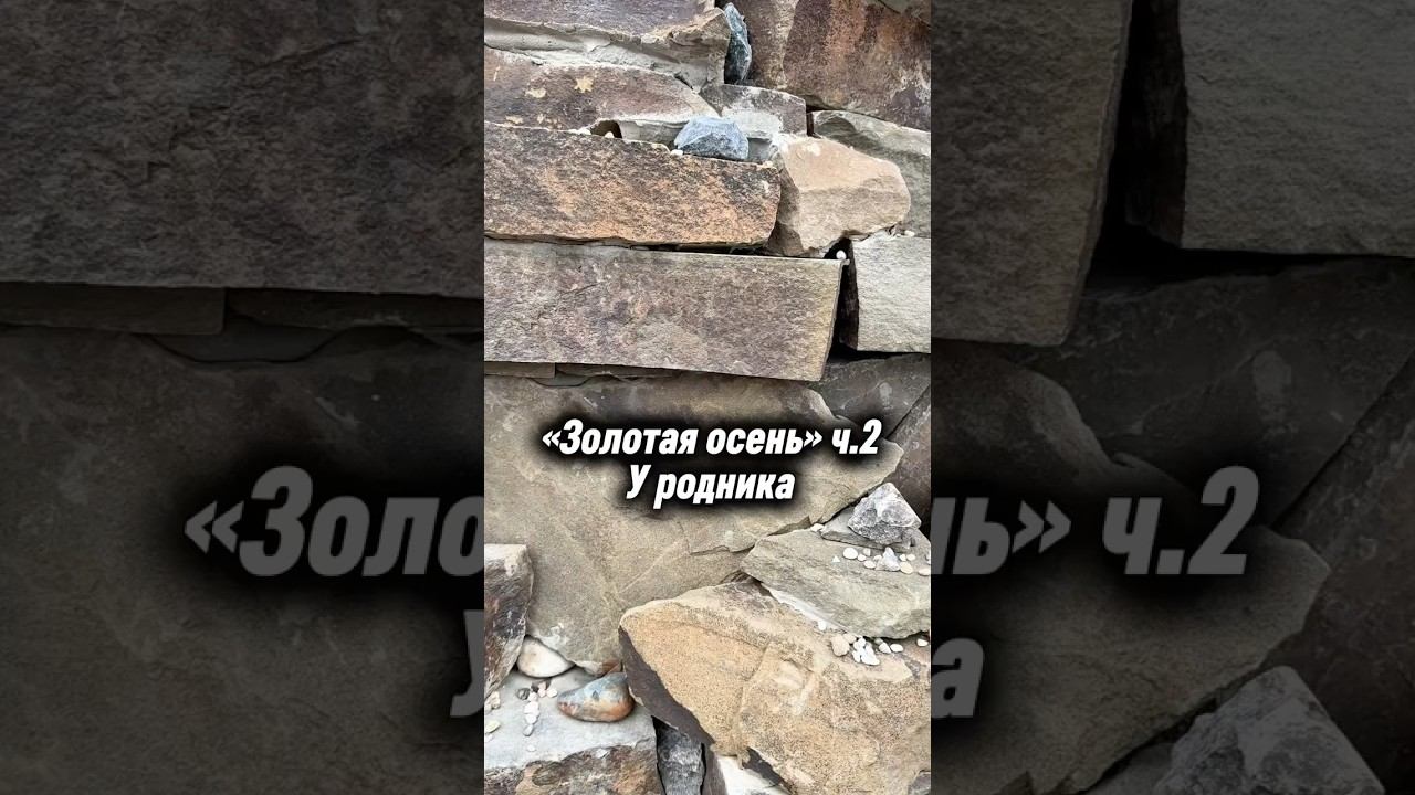 #любовь #юмор #приколы #хаха #элиста #калмыкия #анжелаибаатр