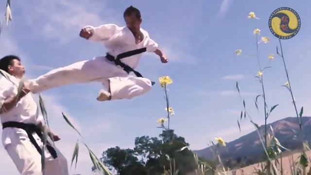 каратэ Шотокан-клуб Дэнто смотреть онлайн