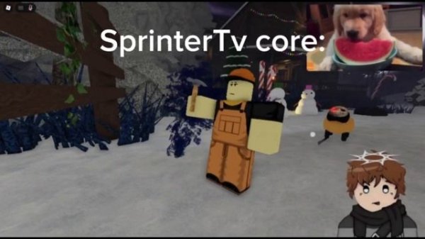 SprinterTV core;