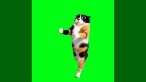 и наконец футаж 4,он для меня смешной,опа, впереди копы с куки из сливки шоу