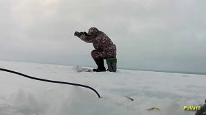 20.01.26 Ловим окуня