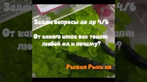 щп