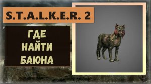 S.T.A.L.K.E.R.2:Heart of Chornobyl Где найти мутанта «Кота баюна»