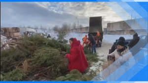 20.01.2026    В Киселевске открыт пункт приема новогодних елок
