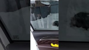 Интеллектуал… поневоле