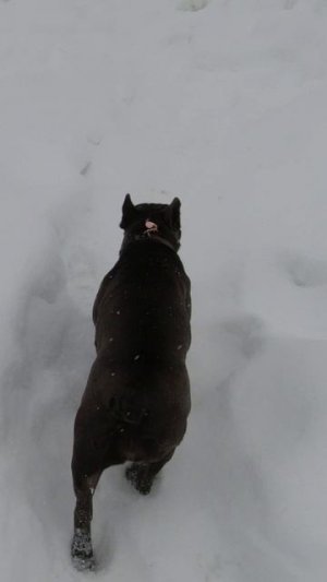 Люси - звезда!