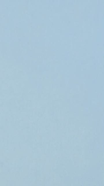 Персик смотрет в окно, Персику хочется на улицу 😺😺