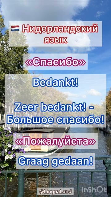 🇳🇱 Нидерландский язык 🤗 «Спасибо», «Пожалуйста"