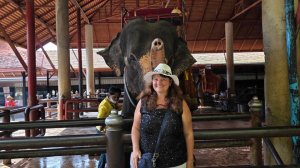 Таиланд, Паттайя 2026 | Мой любимый слон в саду Нонг Нуч