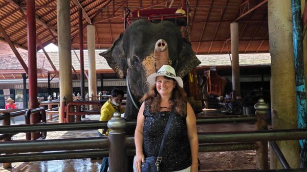 Таиланд, Паттайя 2026 | Мой любимый слон в саду Нонг Нуч