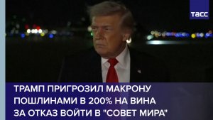 Трамп пригрозил Макрону пошлинами в 200% на вина за отказ войти в "Совет мира"