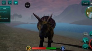 Чу чуть о трайке