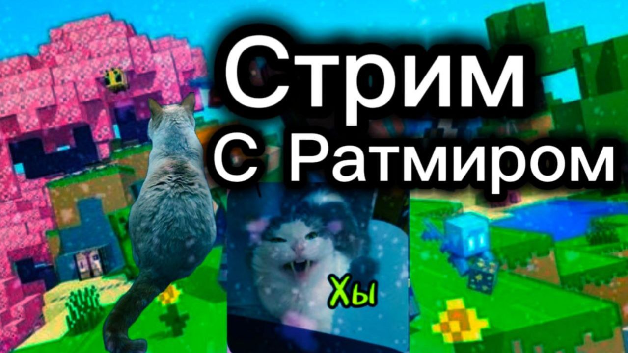 Стрим с КОТЯРОЙ