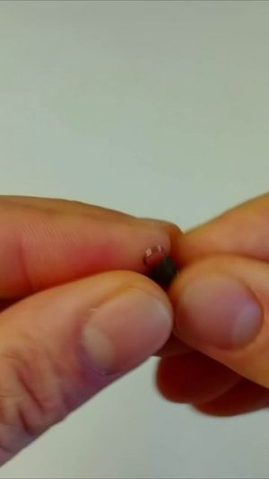 МормоПриманка за "3 КОПЕЙКИ" #рыбалка #fishing #мормышинг#микроджиг #приманки