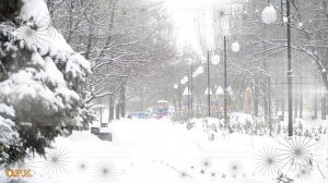 ПАДАЛ СНЕГ КАК БЕЛЫЕ ЦВЕТЫ