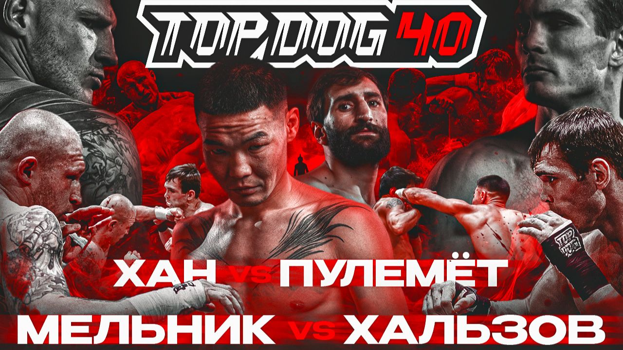 TOP DOG 40 | Мельник VS Хальзов, Хан VS Пулемёт | Лучший нокаут смотреть онлайн
