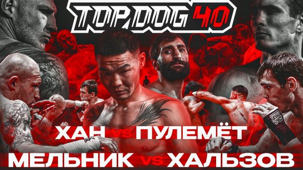 TOP DOG 40 | Мельник VS Хальзов, Хан VS Пулемёт | Лучший нокаут