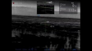 Лисицы. Удачные выстрелы и не очень..