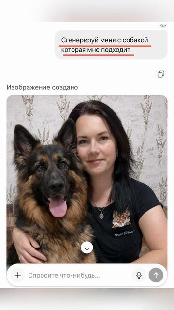 Кошмар приснился #хаски #щенок #собака #домашниеживотные #БрюликиЛиска #dog смотреть онлайн