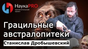 Грацильные австралопитеки – Станислав Дробышевский | Лекции по антропологии | Научпоп