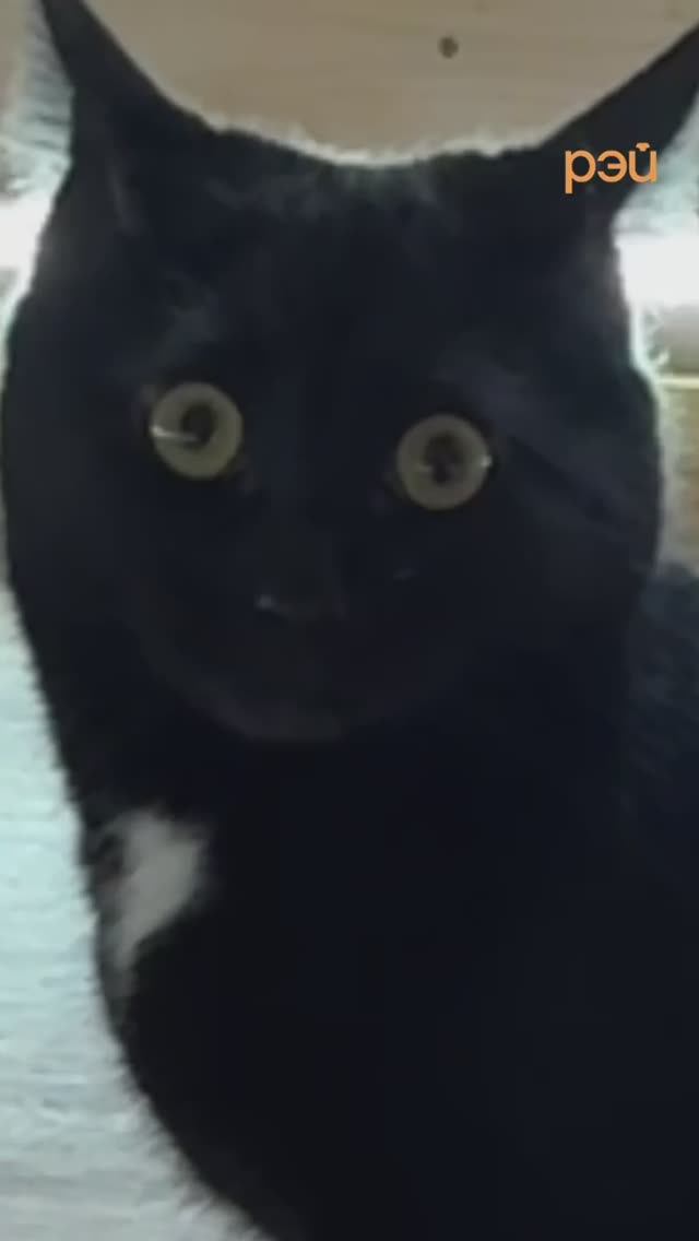 Зачем выкидывать втулки? смотреть онлайн