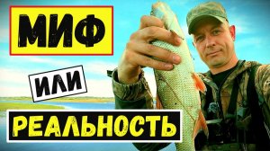 Если ПОЙМАЛ Рыбу На ПЕРВОМ ЗАБРОСЕ...??? / Весенний СПИННИНГ