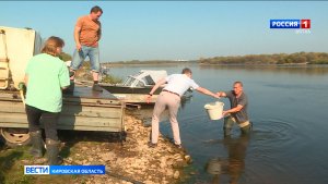 В 2026 году в Кировской области продолжат выпуск мальков стерляди в Вятку