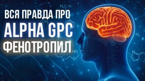 Фенотропил и ALPHA GPC - лучшие добавки для мозга?