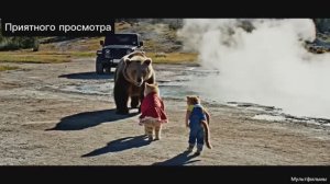 Мультфильмы. Котенок спас маму от медведя. Видео про котиков