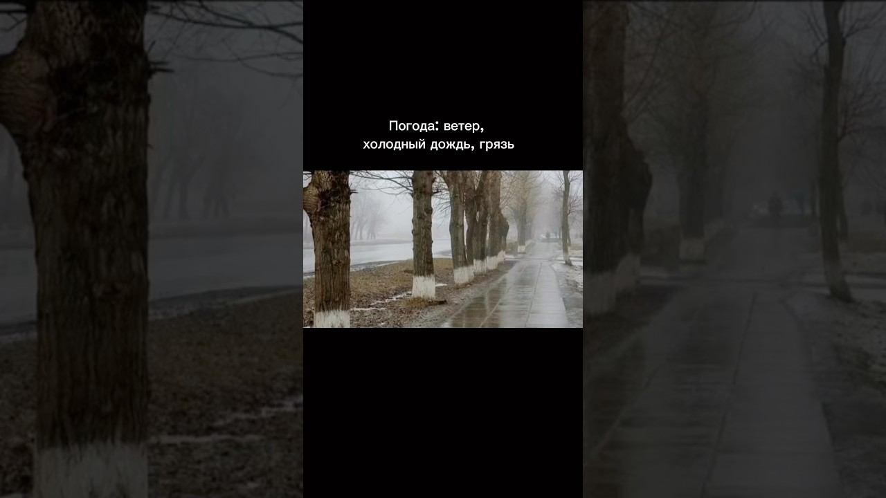 #юмор #приколы #скорпион #гороскоп #хаха #жиза #осень #деньрождения