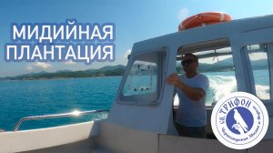 Экскурсия по мидийной плантации Св. Трифон в Магри лето 2025