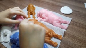 как правильно сделать процедуру сквиши собачкам