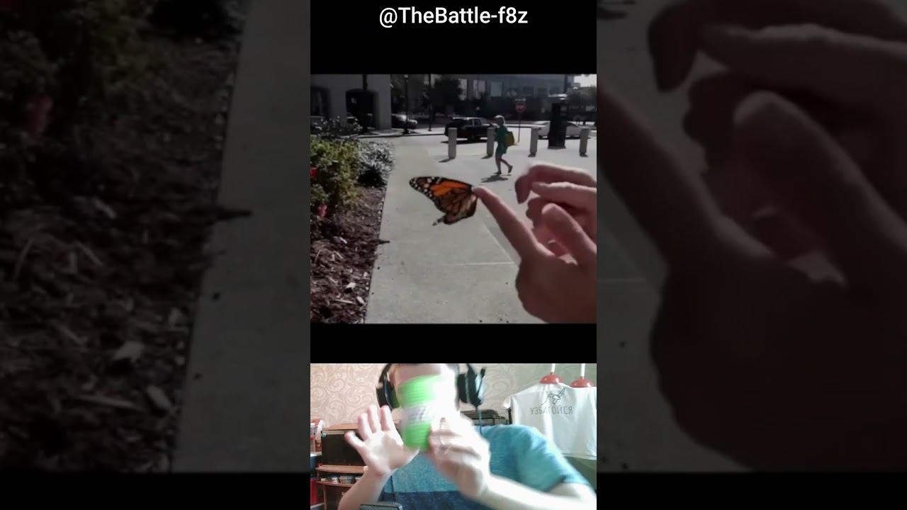 Fun Video Collection 5 - It hurts... смотреть онлайн