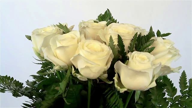 БЕЛАЯ ЛЮБОВЬ. ПРОНИКАЮЩАЯ ПЕСНЯ смотреть онлайн