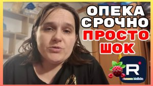 Бровченко _Опека срочно _Просто Шок _Обзор _Колесниковы _Деревенский дневник _Семья Бровченко