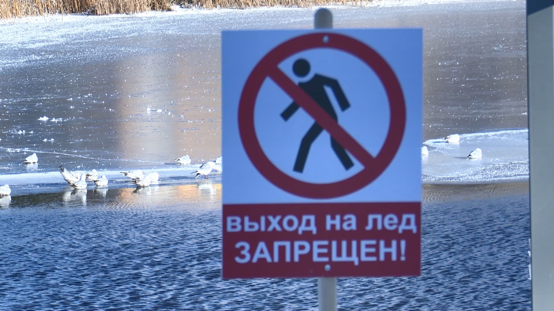 Спасатели предупреждают: опасность выхода на лёд анапских водоёмов сохраняется смотреть онлайн