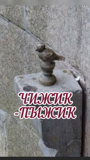 ЧИЖИК-ПЫЖИК. #shorts