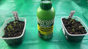 Тестирую стимулятор роста Энерген Аква, он реально работает!