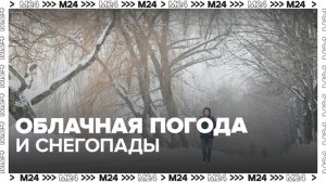 Облачная погода и небольшие снегопады ожидаются в Москве 20 января